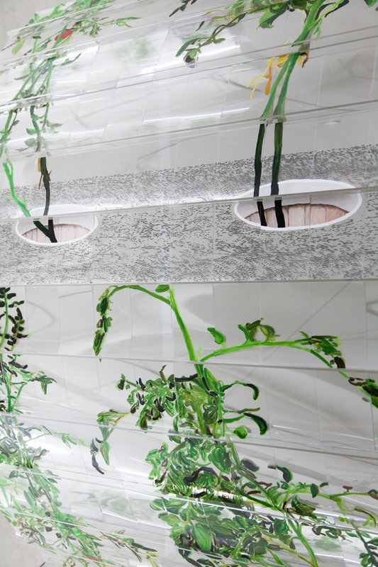 Alex Fischer, Vii 6000 Arch 14light, 2015-02-26